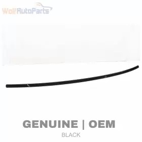 51137145190 BMW Right Exterior Roof Moulding