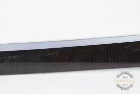 7225551-1049 BMW Front Right Passanger Door Wood F10 550I #3