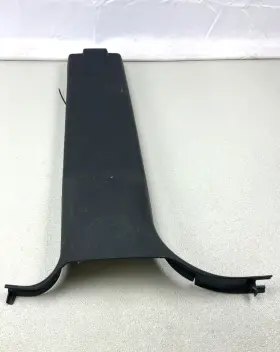 1DX57TRMAB DODGE Center Left Lower Pillar Molding Cover 1500