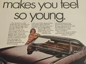 Factory/oem Oldsmobile Delmont Print Ad 10.5X13.5 Inch Olds #3