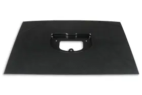 553-355 HOLLEY EFI Racepak Dash Panel Carbon Fiber