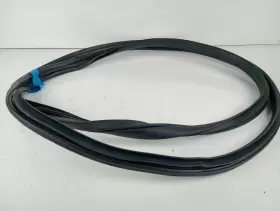 82120K2000 HYUNDAI Venue Front Left Driver Door Body Seal #2