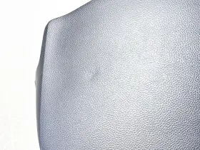 L10250AA600 INFINITI Cluster Upper Hood #3