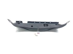 EX53-406A64 JAGUAR Rear Trunk Sill Scuff Plate Cover