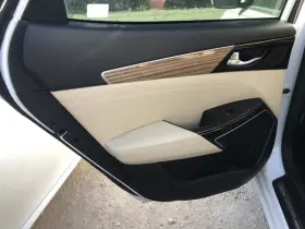 205.KI1E17 KIA Cadenza Door Panel Rear