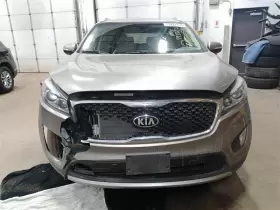 206.KI1116 KIA Rh Passenger Front Headrest Sorento #3