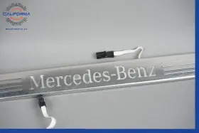 A1666802135 MERCEDES Door Scuff Plate Sill Molding Led GL350 #3