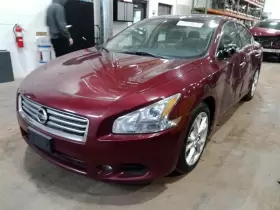 204.DA1P12 NISSAN Rh Front Door Interior Panel Maxima #2