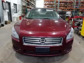 204.DA1P12 NISSAN Rh Front Door Interior Panel Maxima #3