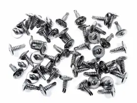 230F6185 SFS Interior Screws Tap Datsun