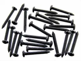 25210103 SFS Interior Screws Pan Head Nissan