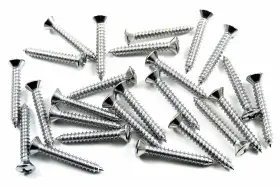 2706295 SFS Interior Screws Head Ford