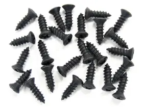 2729479 SFS Interior Screws Head Gm