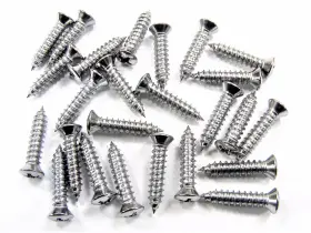 2796401 SFS Interior Screws Head Ford