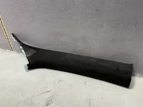 1007440-02-G TESLA Front Right Passenger Pillar