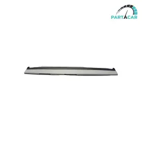 1619564 TESLA Panel Cover Bezel