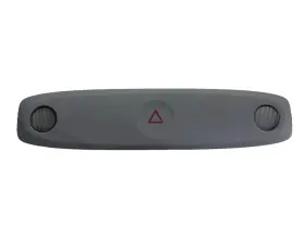 1739293-00-G TESLA Juniper Overhead Console Dome Light