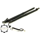 2016-2022 Honda Pilot Rear Liftgate Power Lift Support Strut Cylinder Set X2 Oem. Fixed Price $159.99.