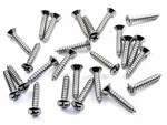 Datsun Chrome Interior Trim Screws- #6 X 3/4" Long- Oval Head- 25 Screws #269. Fixed Price $12.76.