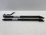2016-2020 Honda Pilot Rear Left Right Trunk Lid Lift Shock Support Set 1494 Oem. Fixed Price $160.99.