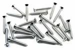 Ford Chrome Interior Trim Screws- #6 X 1" Long- Oval Head- 25 #270. Fixed Price $13.56.