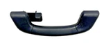 2010-2015 Bmw 550i Gt - Rear Left Grab Handle. Fixed Price $6.95.