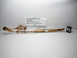03-09 Mercedes E-350 Front Left Molding Door Panel Bezel Cover Trim 204965l Oem. Fixed Price $66.75.