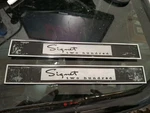 Vintage 1963 Plymouth Signet 200 Door Panel Emblem Set Oem Mopar. Fixed Price $64.99.
