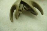 2006 06 Chevy Cobalt Ls Overhead Door Coat Hanger Hangers Hook Hooks B-68 D. Fixed Price $19.95.