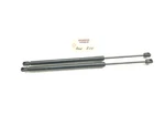 2018-2024 Ford Expedition Rear Liftgate Lift Support Cylinder Strut Oem. Fixed Price $44.99.