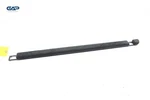 2019-2023 Audi Q8 Trunk Cargo Floor Left Driver Side Shelf Cover Trim Panel Oem. Fixed Price $32.99.