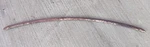 1954 Chevy Truck Lower Windshield Molding Original Gm 1955 First Series Gmc. Fixed Price $295.00.