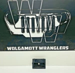 97-06 Jeep Tj Wrangler Automatic Gear Shift Shifter Bezel & Dial 55115570ab Oem. Fixed Price $58.50.